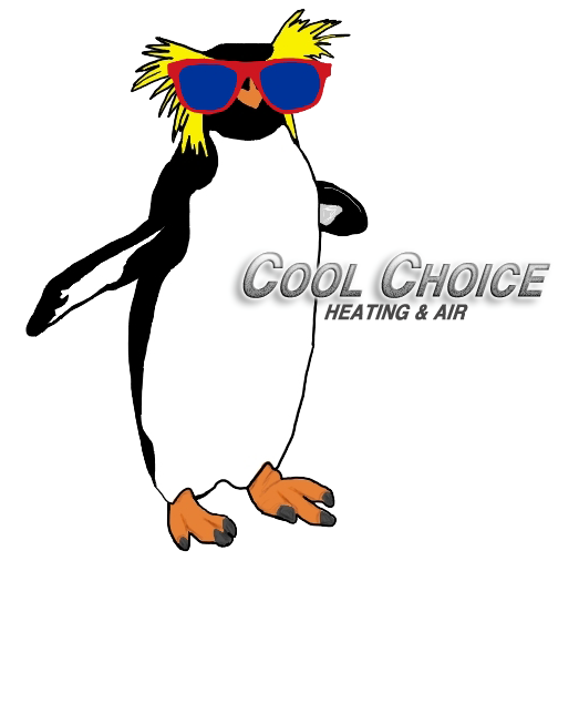 Cool Choice LLC Logo