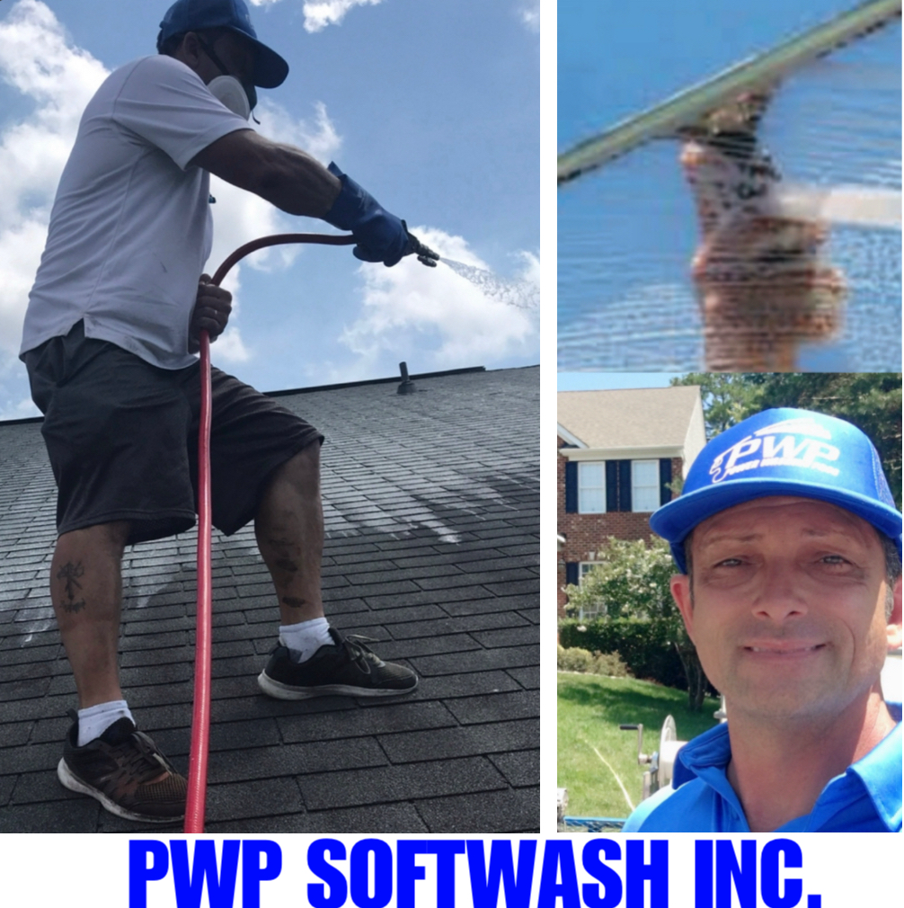 The power washing pros logo is a professional cleaning company.