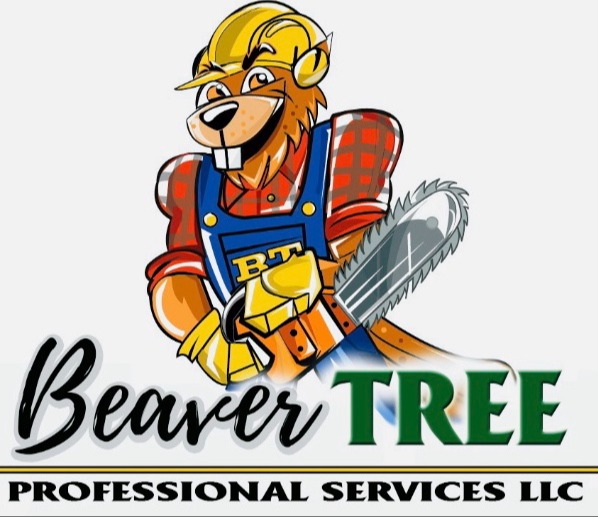 Beaver Tree Professional Services LLC