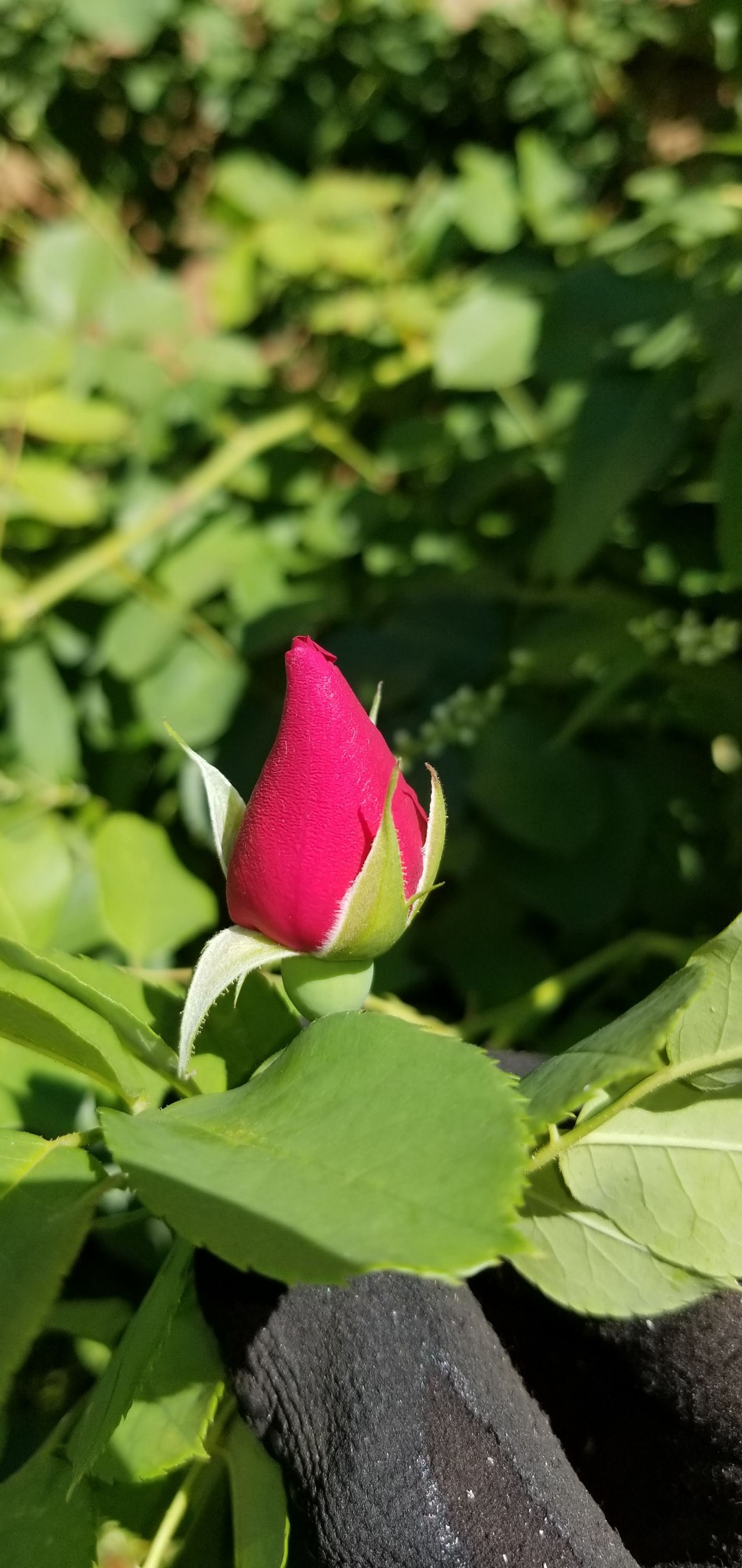 Perkins Property Maintenance Moving