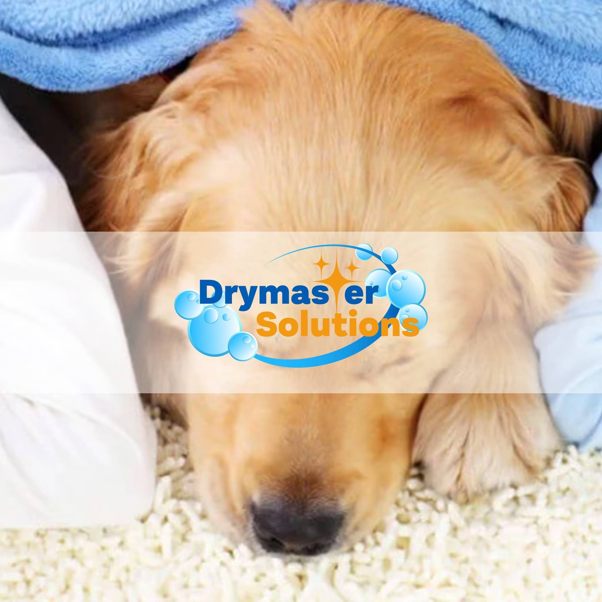 Drymaster Solutions.logo