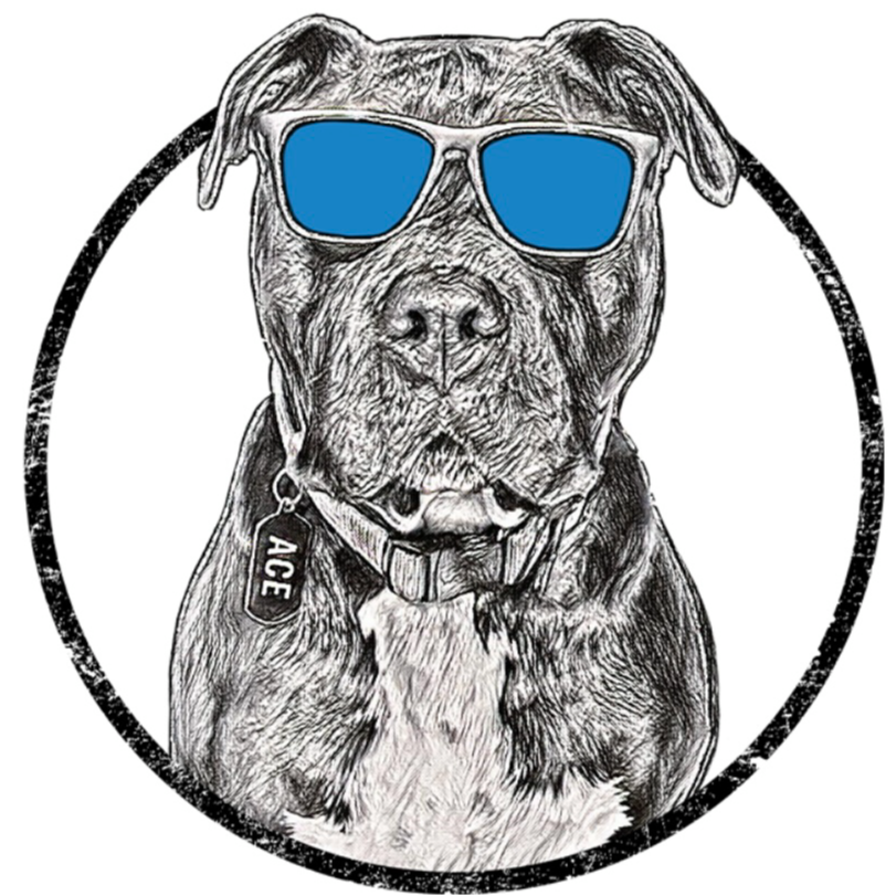 Ace Mobile Detailing