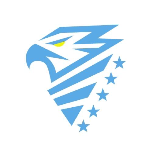 Splash Force LLC