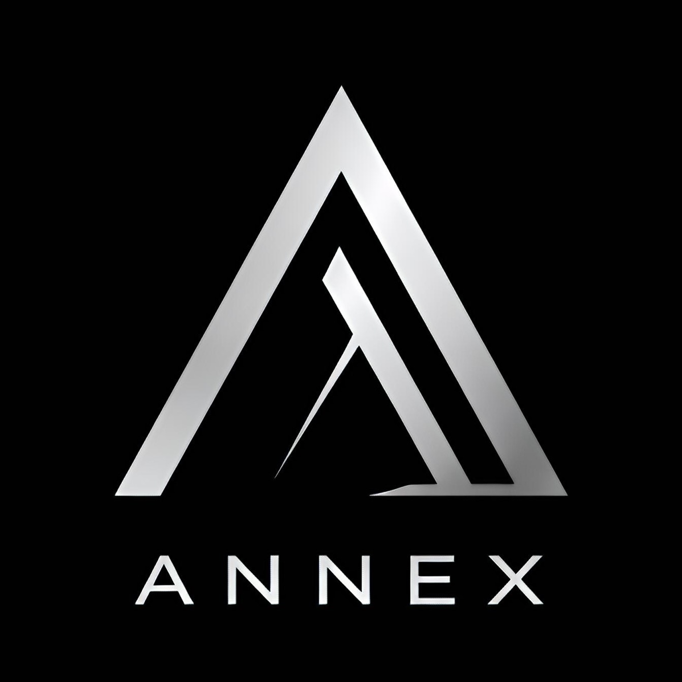 Annex Roofing & Construction