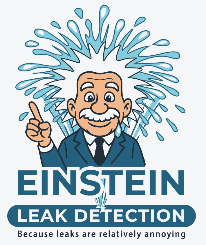  Einstein Leak Detection