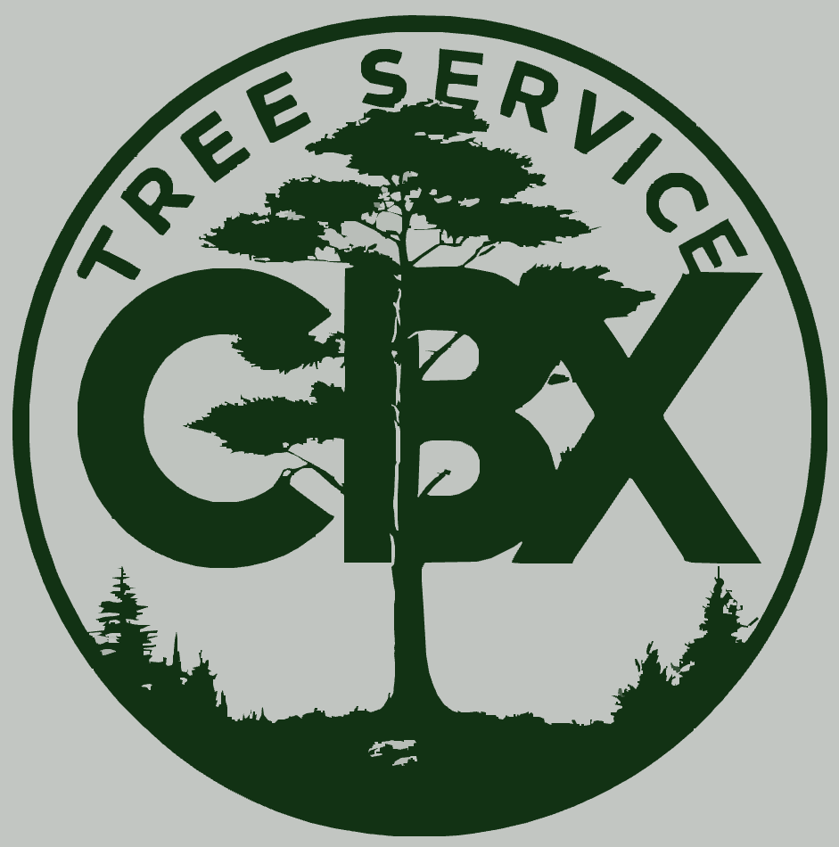 cbx tree service