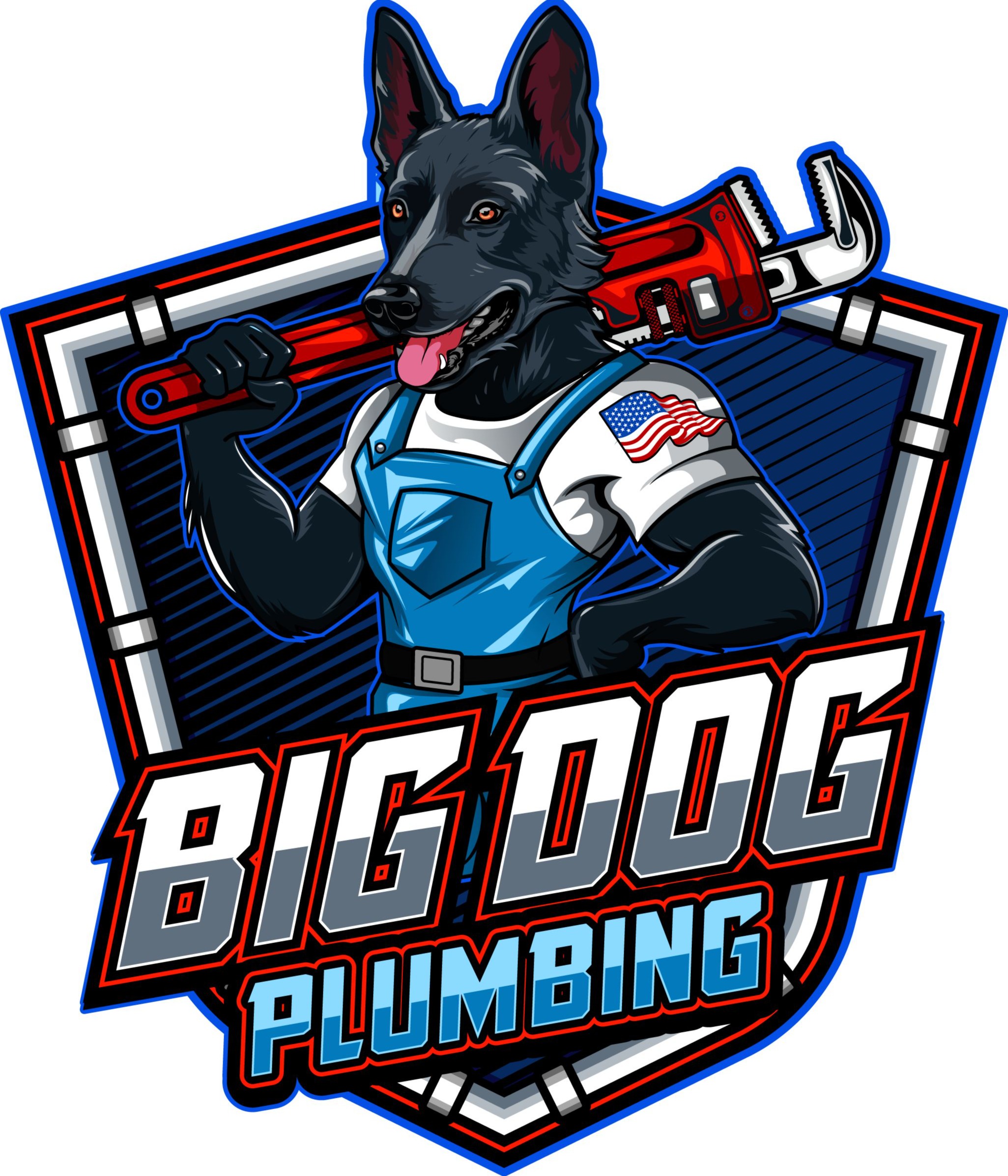 Big Dog Plumbing